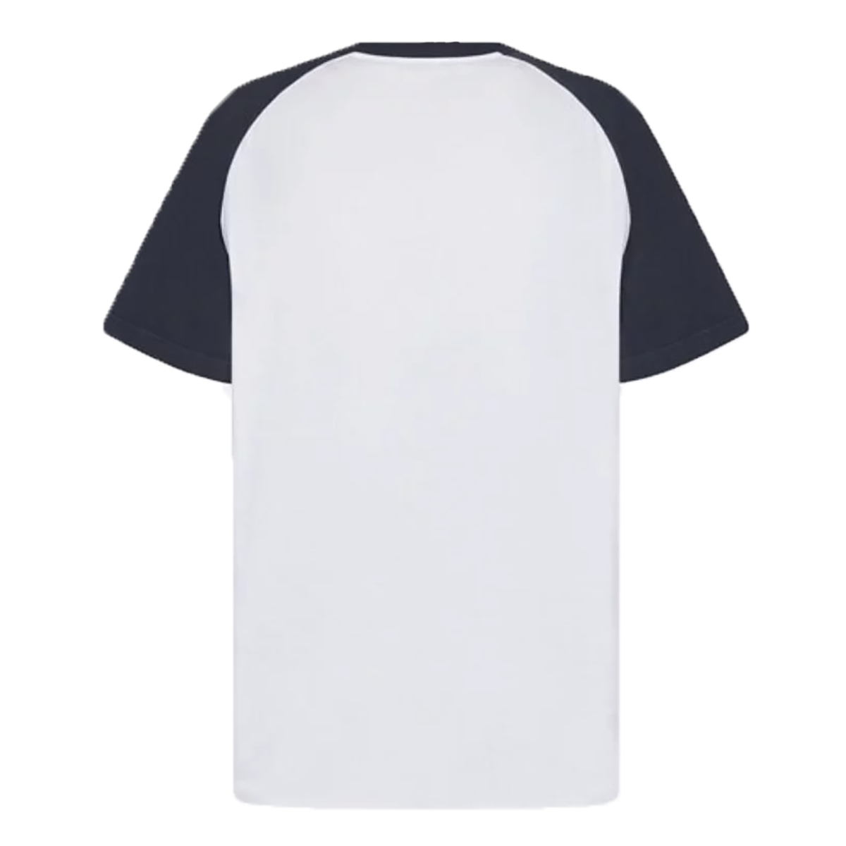 CHRISTIAN DIOR ATELIER' T-SHIRT IN WHITE